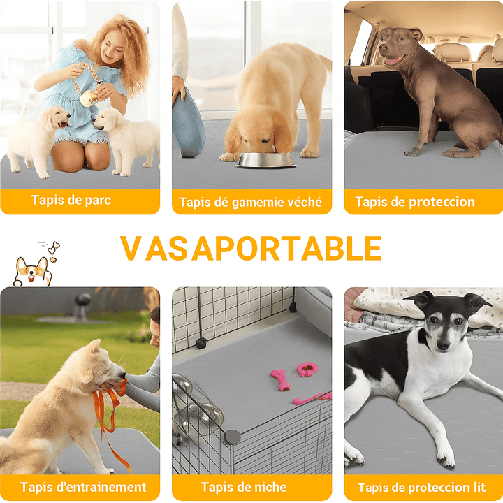 Tapis propreté pour chien