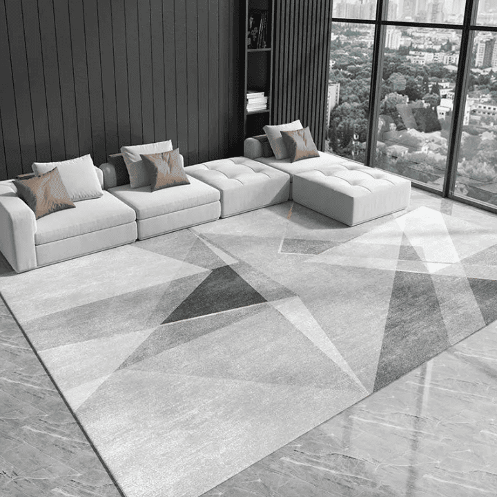 tapis salon rectangulaire 200x300 cm